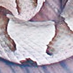 southern copperhead