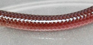 Texas Blind Snake (Leptotyphlops dulcis) Ashley D Temple TX 040610 midbody Texas Blind Snake (Leptotyphlops dulcis); Ashley D., Temple, Texas--04.06.10 Midbody