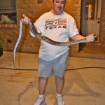 Texas Rat Snake (Elaphe obsoleta lindheimeri); T.K., Dripping Springs, TX --- 15 Apr 2012