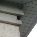 2012 MAY 04 219 Animal nest 03 Animal nest 3