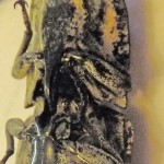 Texas Eyed click beetle (Alaus lusciosus); prosternal spine and mesosternal notch Eyed click beetle (Alaus oculatus); prosternal spine and mesosternal notch