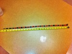 Texas Coral Snake (Micrurus tener); Pam S., Wimberley, Texas --- 30 April 2012